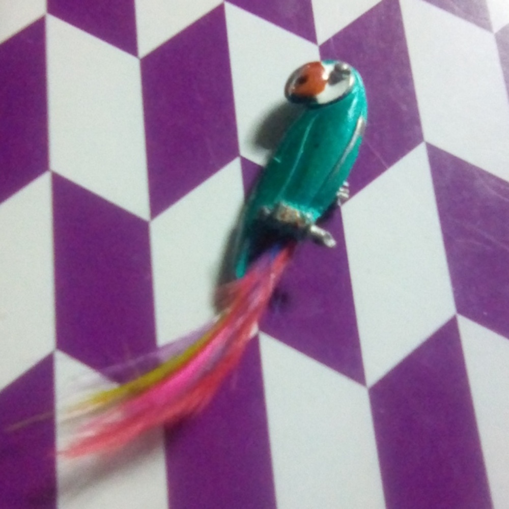 Vintage enamel parrot